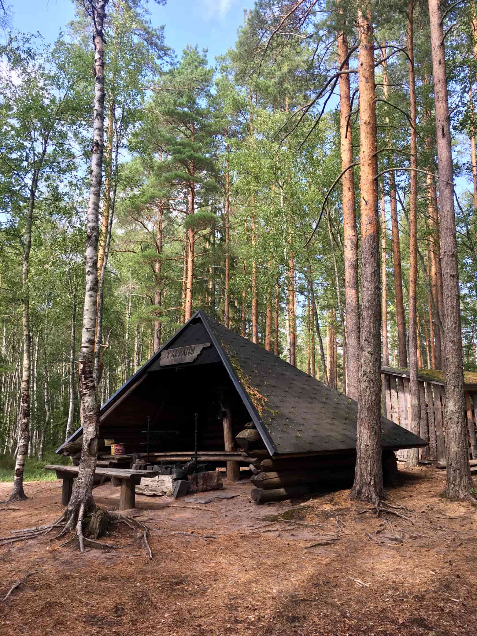 Metsäjärven laavu.