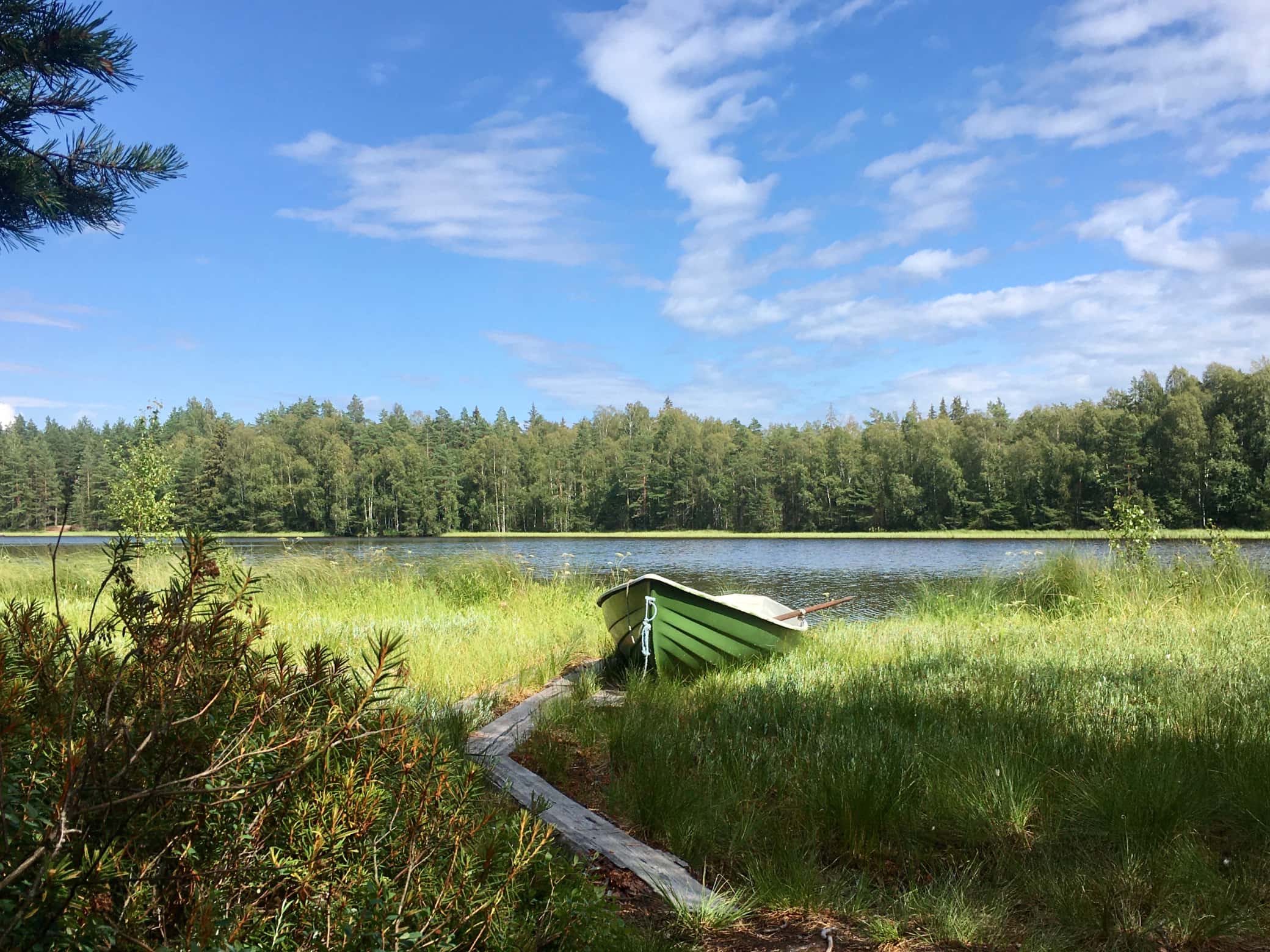 Metsäjärven soutuvene kesällä.