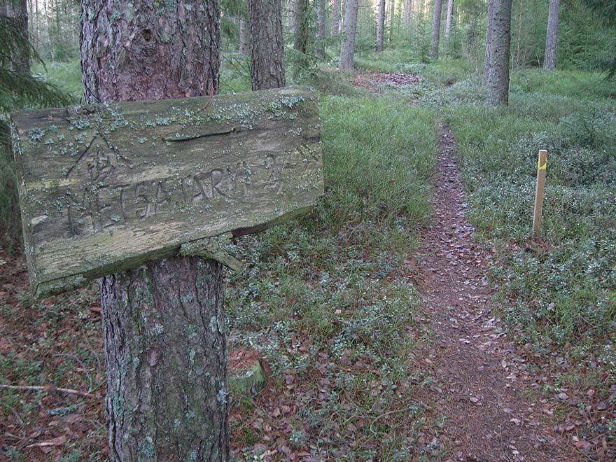 Metsän keskellä kiemurtelee Kaarnikan polku.